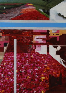 Gekopte tulpen langs de lange slaper #8 2003 50x70 cm Mixed media Judith Boer